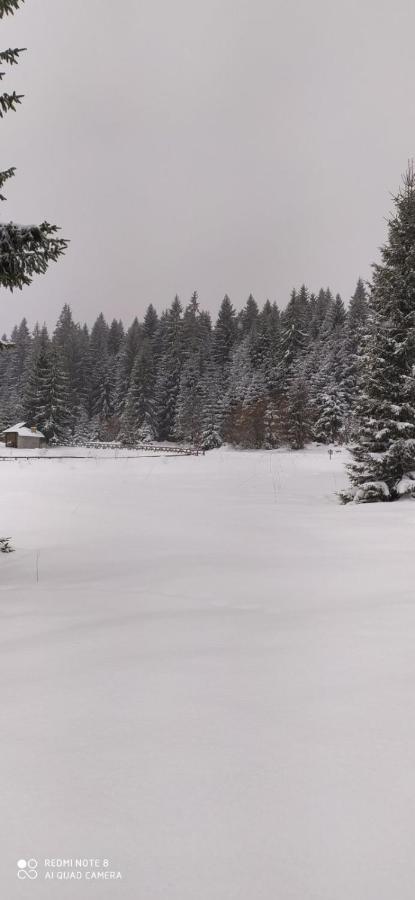 Vila Balerina Mitrovac Exteriör bild